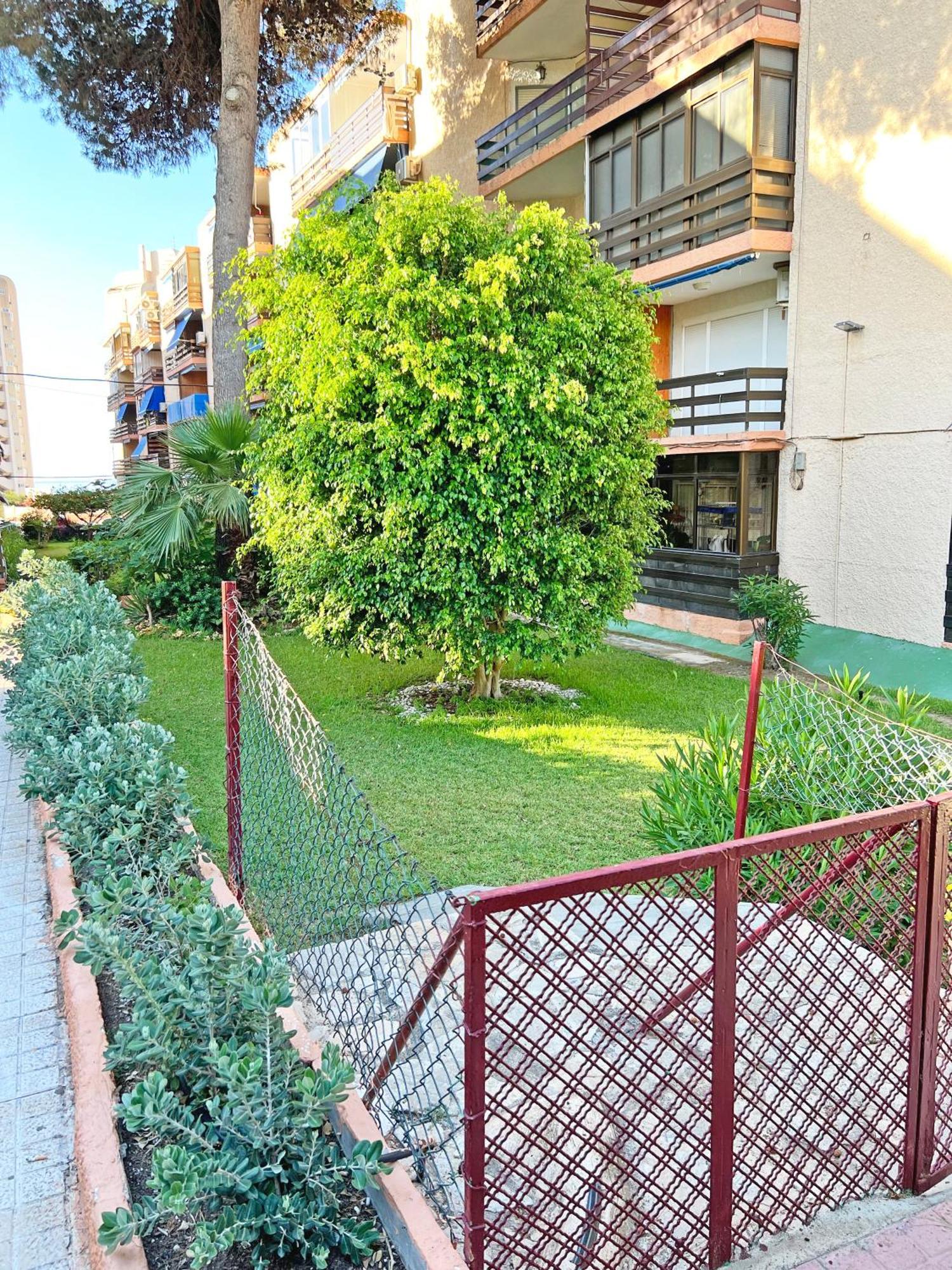Coqueto Con Piscina, Nuevo A 50M Del Mar, Parking Gratis Apartment El Campello Bagian luar foto