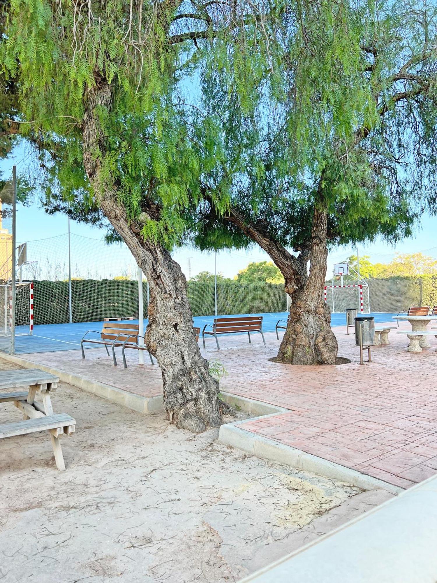Coqueto Con Piscina, Nuevo A 50M Del Mar, Parking Gratis Apartment El Campello Bagian luar foto