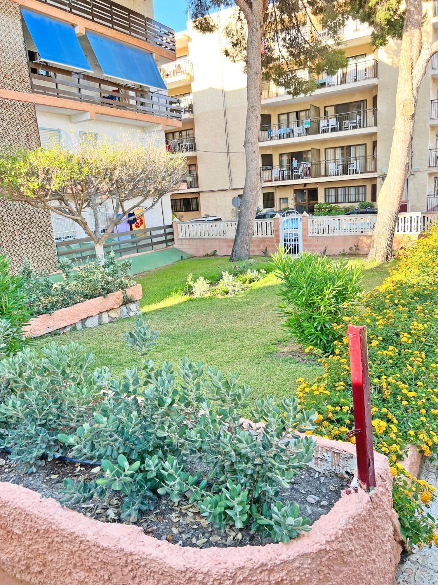 Coqueto Con Piscina, Nuevo A 50M Del Mar, Parking Gratis Apartment El Campello Bagian luar foto